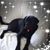 Linda Byrne's profile image