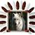 Diana Leary's profile image