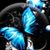 Bonnie Weimer's profile image