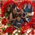 Carla White Marcil's profile image