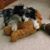 Vickie Foster's profile image