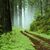 Linda Ridder's profile image
