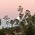 Shelley Ankerholz's profile image