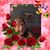 Ellen Bashore Nisely's profile image