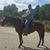 Charlie Breusch's profile image