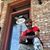 Byron Williams's profile image