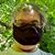 Peter Schleifer's profile image