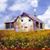 Karen Draddy's profile image