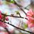 Ginny Mahala Urbanek's profile image