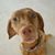 Kellie White's profile image