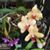 Peggie Stastny's profile image