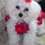 Cindy Essam's profile image