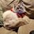 Jessica Renae Burdette's profile image
