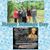 Shannon Crox's profile image