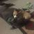 Christine Laird-Cassinelli's profile image