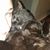 Ashlee McGehee's profile image