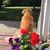 Kelly Precious's profile image