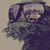 Hans Peter Muller's profile image