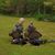 Jerri Mason Reeves's profile image