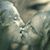 Mina Talaat Atwan's profile image