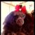Mona Adams Miller's profile image