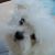 Brandi Driscoll's profile image