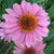Kathy Gregory Dykeman's profile image