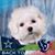 Kathleen Christian's profile image