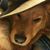 Angie Terry's profile image