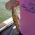 Stephanie Richard-Barcelou's profile image