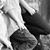 Connie Headrick's profile image