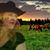 Cindy Arzola's profile image