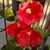 Terri R Standley's profile image