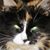 Lisa Hardin Kruse's profile image