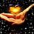 Kimberly Stone's profile image