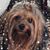 Carolyn DiMaggio's profile image