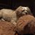 Terry Duch's profile image