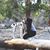 Angee Phillips's profile image