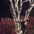Brenda Susalka Baron's profile image