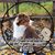 Anne Stuessy's profile image