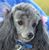 Connie Yates's profile image