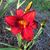 Elaine Hemingway's profile image