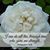 Christine Marie Stapf's profile image