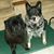 Judy Frank's profile image