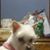 Peggy Boudreaux's profile image