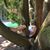 Noah William Lewkow's profile image