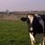 Cheryl Ehrke's profile image