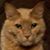 Barb Yapp's profile image