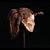 Clara Sanzari's profile image