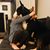 Jeremia Chartier's profile image